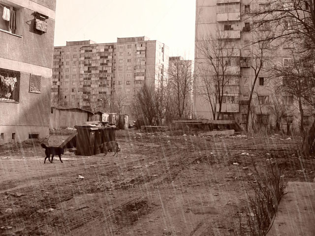 Rain Effects image 7