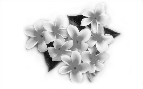 How to Create Your Own Brushes image 04