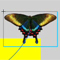 Material Image
