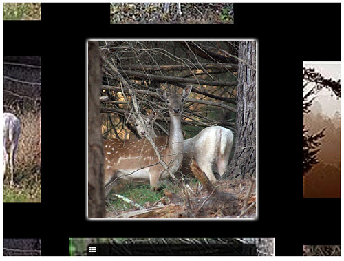 Using the Dreamweaver 3D Wall Extension image 10