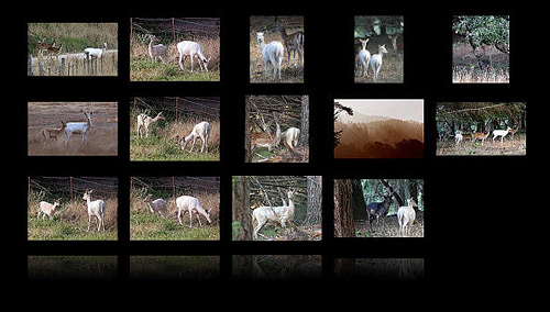 Using the Dreamweaver 3D Wall Extension image 9
