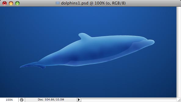 Dolphins image 10