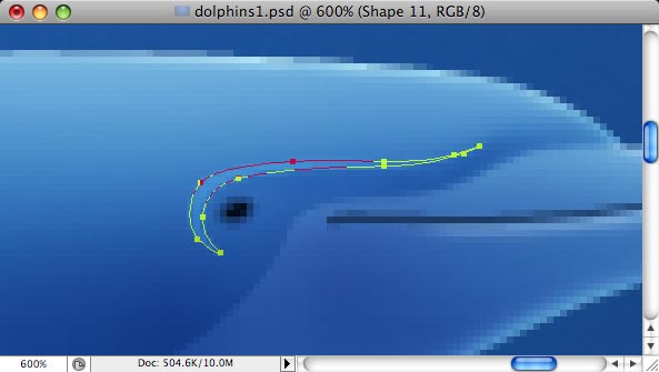 Dolphins image 14