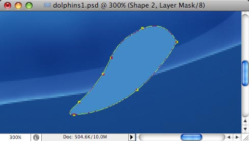 Dolphins image 15