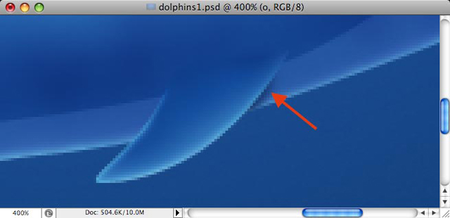Dolphins image 20
