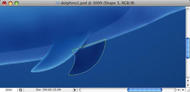 Dolphins image 21