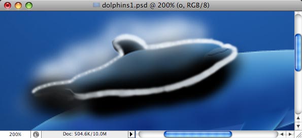 Dolphins image 24
