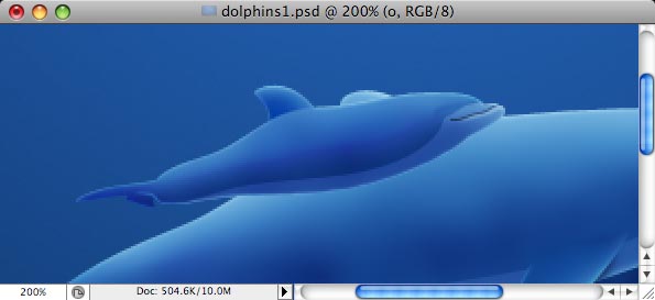 Dolphins image 25