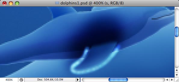 Dolphins image 27