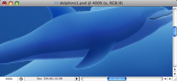 Dolphins image 28