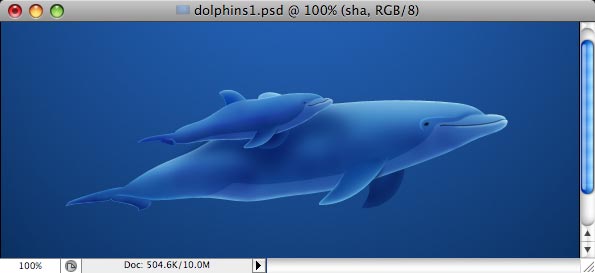 Dolphins image 30