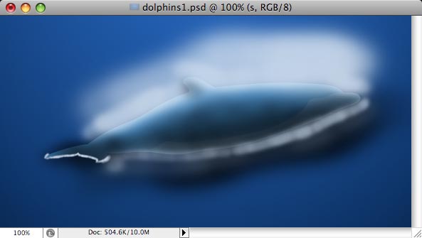 Dolphins image 7