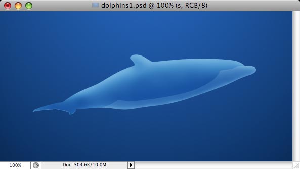 Dolphins image 8