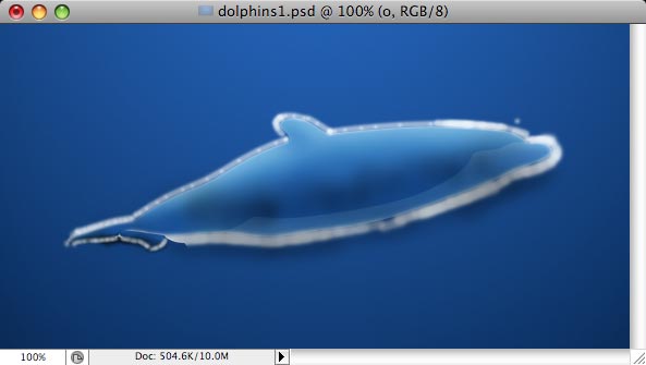 Dolphins image 9