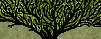 Socotra - making of interweaved lines - image 1