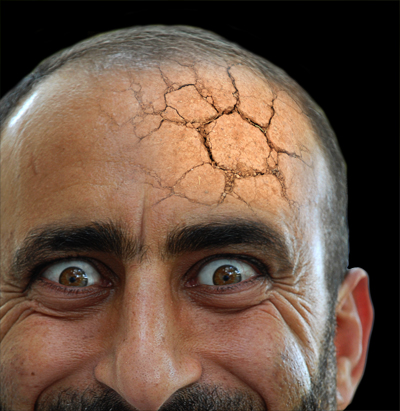 Garden in the Head image 10