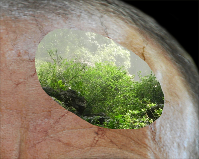 Garden in the Head image 17