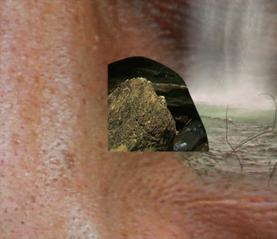 Garden in the Head image 24