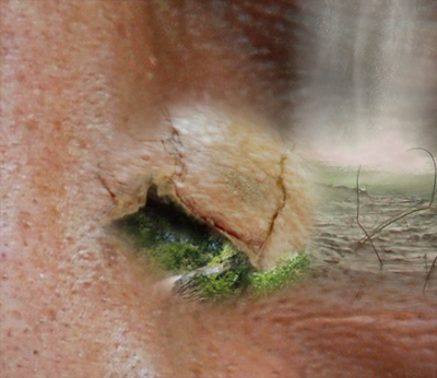 Garden in the Head image 26