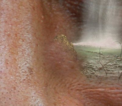 Garden in the Head image 28