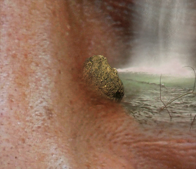 Garden in the Head image 29