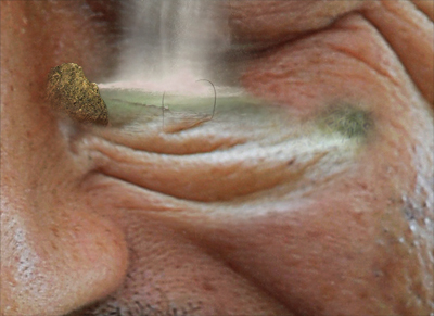 Garden in the Head image 30