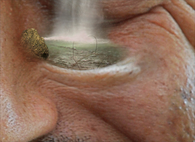 Garden in the Head image 31