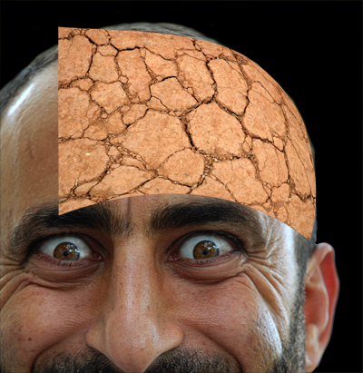 Garden in the Head image 9