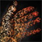 Click to read this material