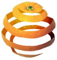 Peeling Objects Tutorial: Final Result