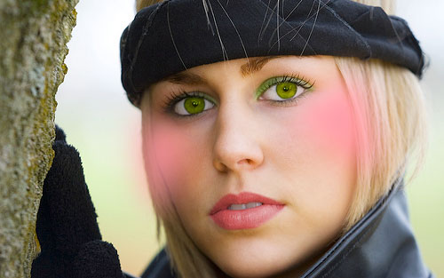 Make Up Effect for the Face image 20