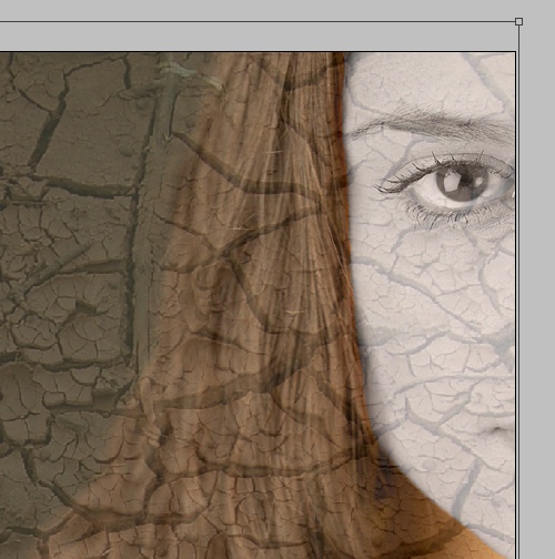 Create a Horror Face in Photoshop image 4