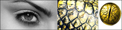 Reptilian Effect! image 1