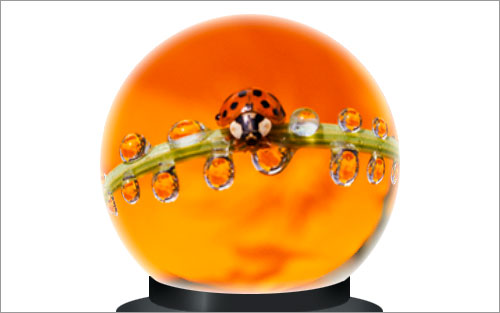 Magic Sphere With Picture Inside image 16