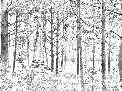 Picture to Drawing with Photoshop in less than a Minute
