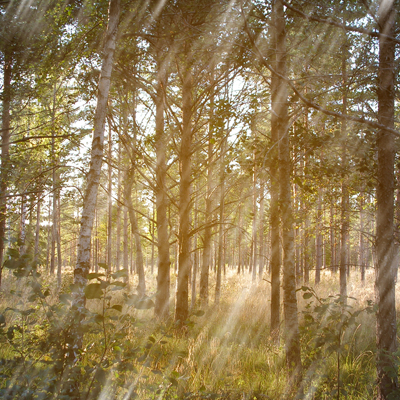 Rain with Photoshop in under a Minute Tutorial: Final Result