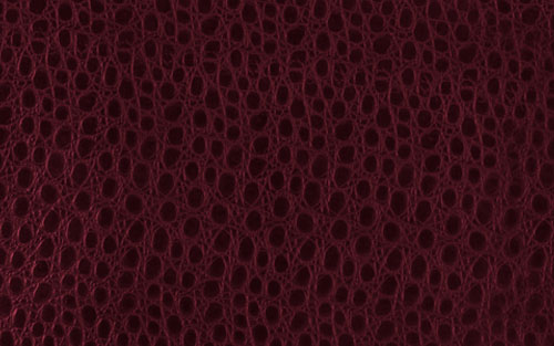 Elegant Leather Style image 4