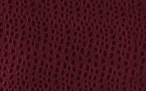 Elegant Leather Style image 6
