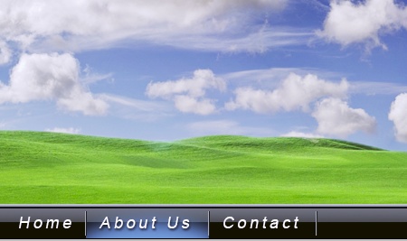 Vista Style Menu using Photoshop Tutorial: Final Result