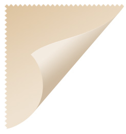 image 23