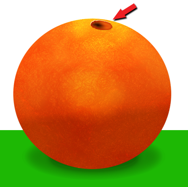 Draw Orange image 10
