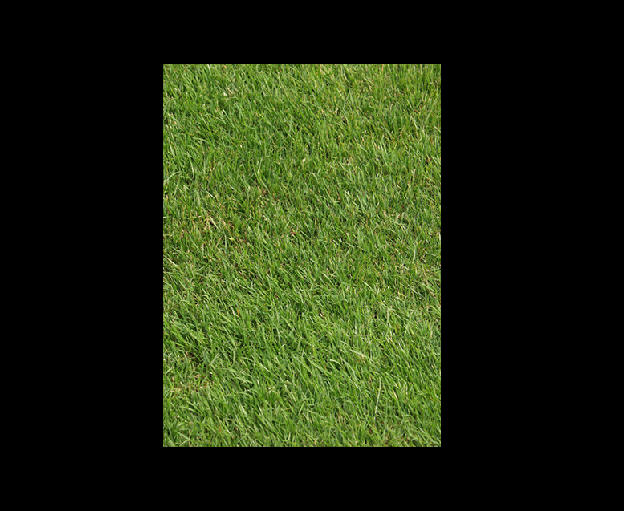 Make a Grassy and Flowery Soft Drink Can in Photoshop image 10