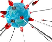 Important Factors in Choosing a Web Host
