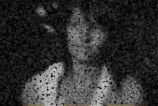 Broken Pieces Photo Effect Tutorial using Photoshop image 5