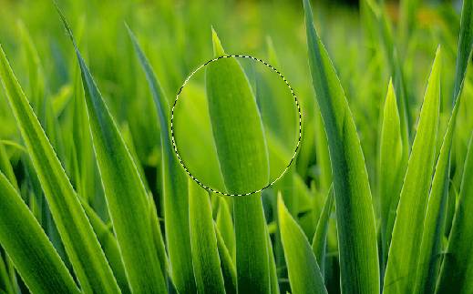 How to create a Crystal Ball effect in photograph using PhotoShop image 9
