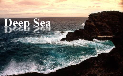 How to artificially generate text reflection on water surface Tutorial: Final Result