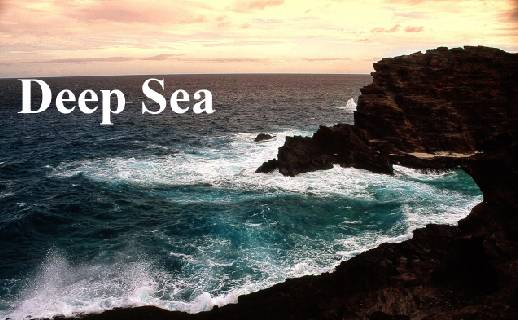 How to artificially generate text reflection on water surface image 6