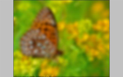 Nature Blur Effect image 5