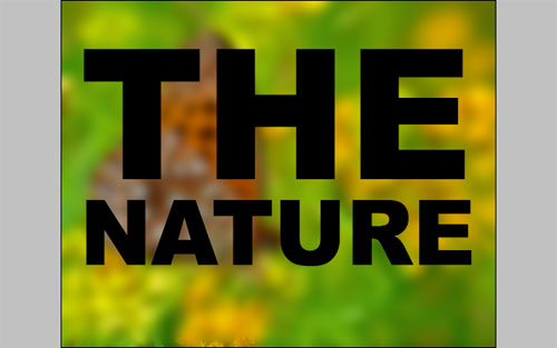 Nature Blur Effect image 6