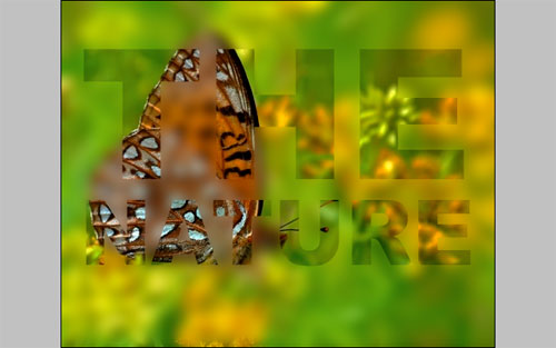 Nature Blur Effect image 7